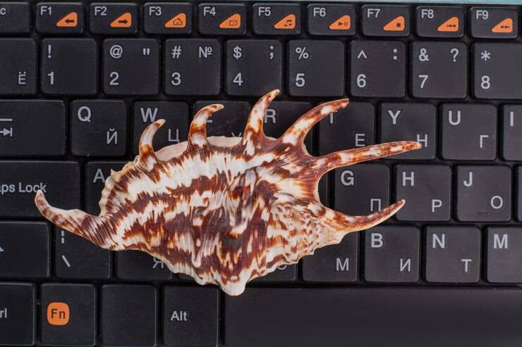 Классные вещи с Python